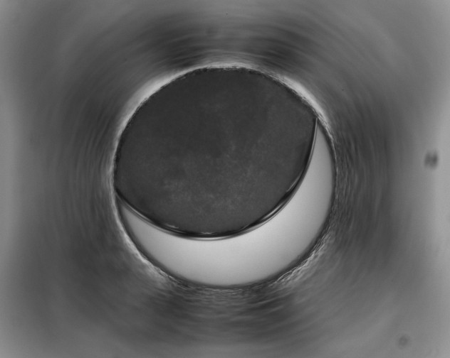 X0000099310943200805021311