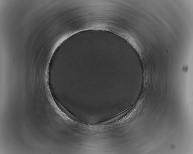 X0000099310944200805021311