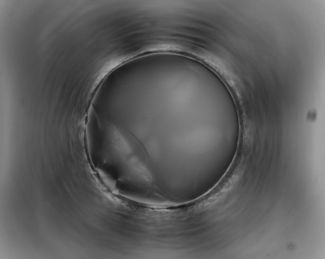 X0000099310945200805021311