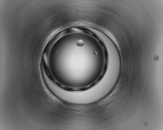 X0000099310946200805021311