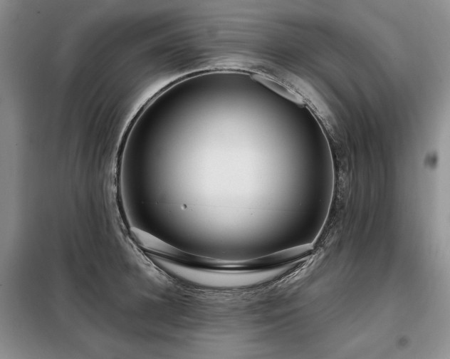X0000099310948200805021311