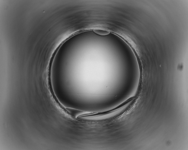 X0000099310949200805021311
