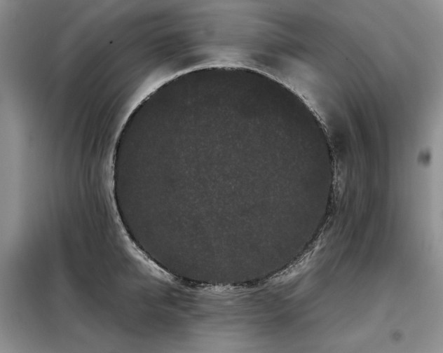 X0000099310950200805021311
