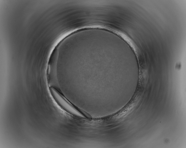 X0000099310951200805021311