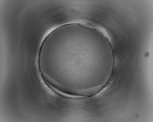 X0000099310952200805021311