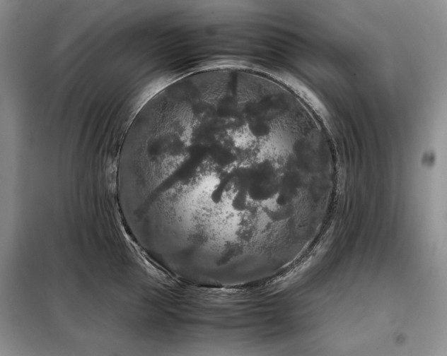 X0000099310953200805021311