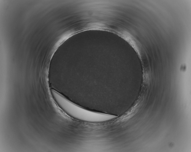 X0000099310954200805021311