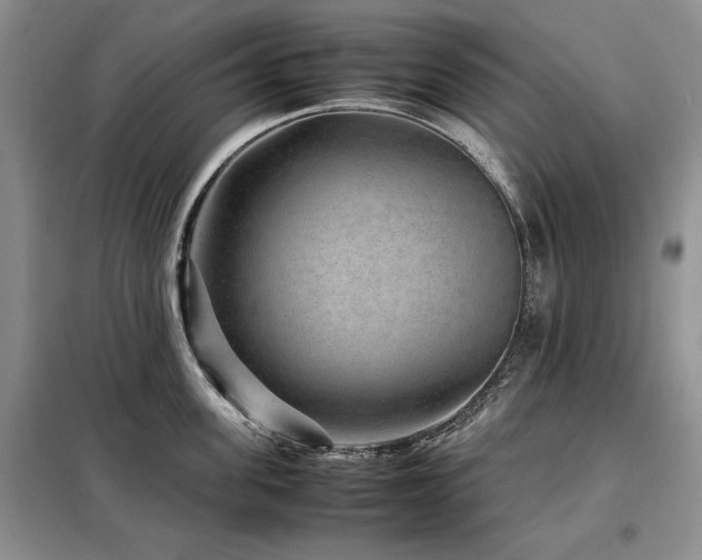 X0000099310955200805021311