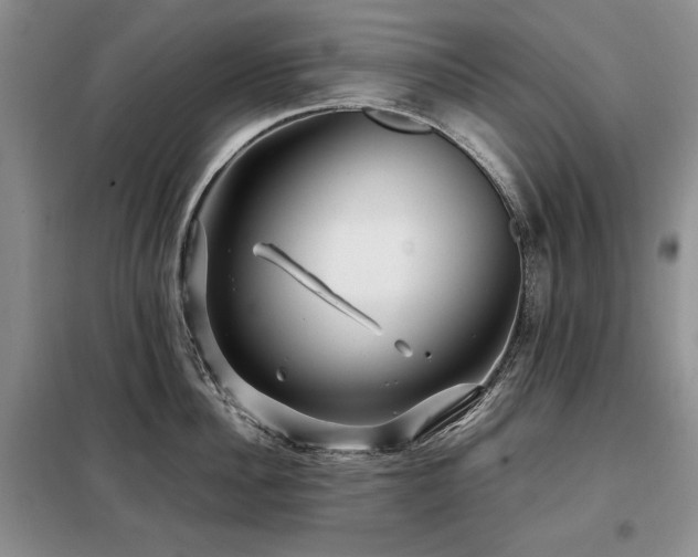 X0000099310956200805021311