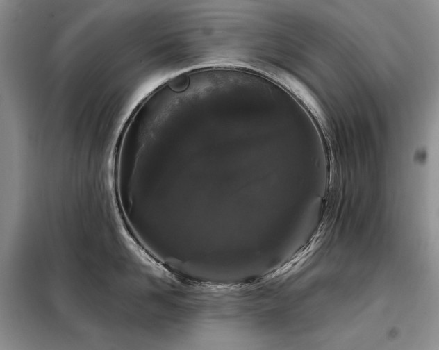 X0000099310958200805021311