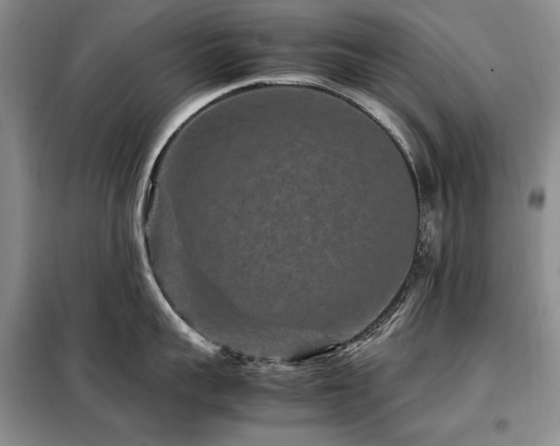 X0000099310959200805021311
