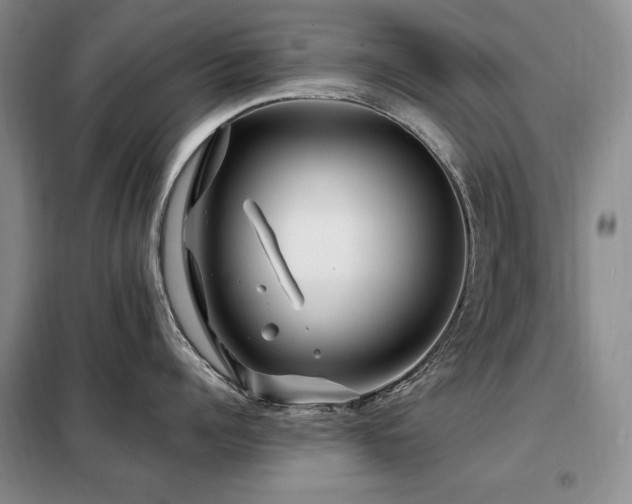 X0000099310960200805021311