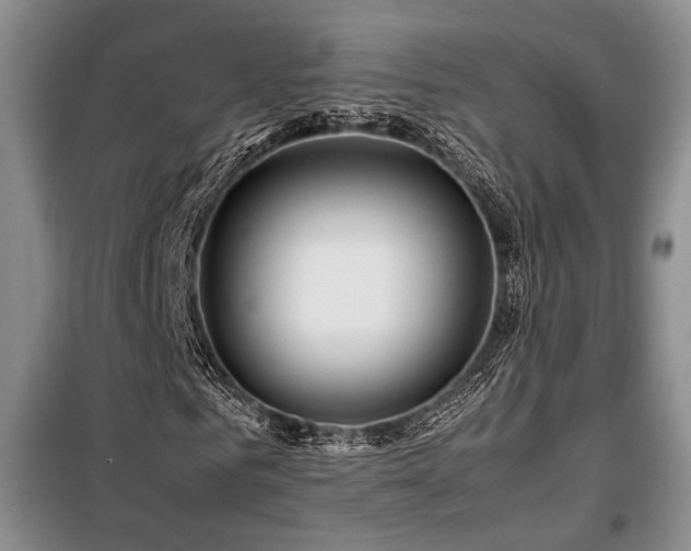 X0000099310961200805021310