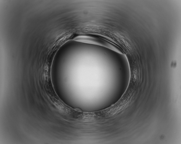 X0000099310964200805021310