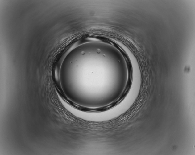 X0000099310965200805021310