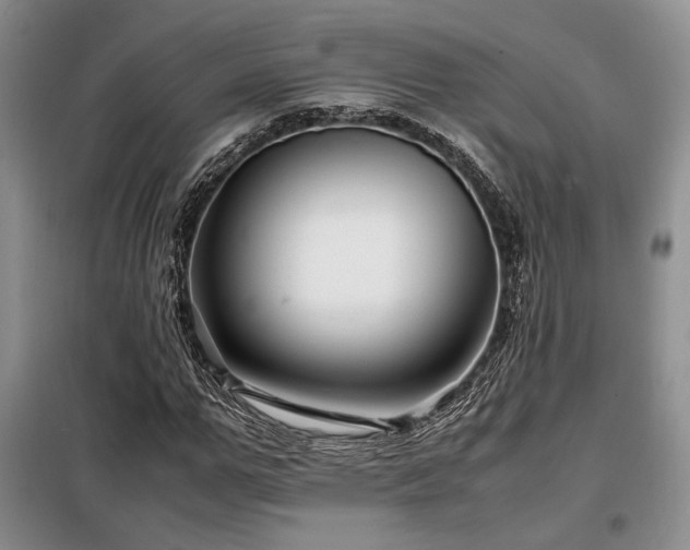 X0000099310967200805021310