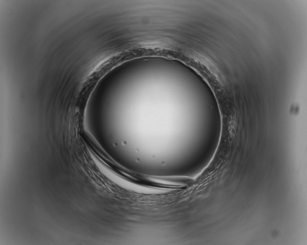 X0000099310968200805021310