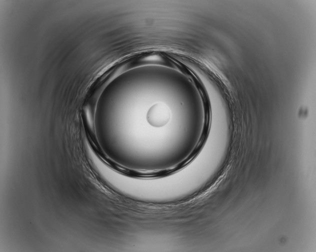 X0000099310969200805021310