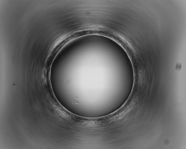 X0000099310970200805021310