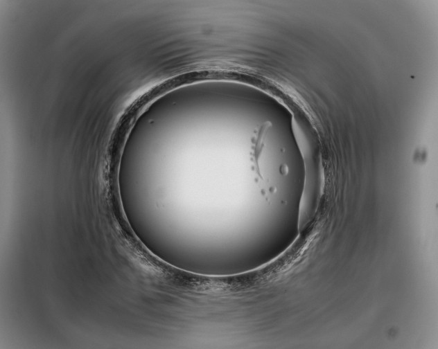 X0000099310971200805021310