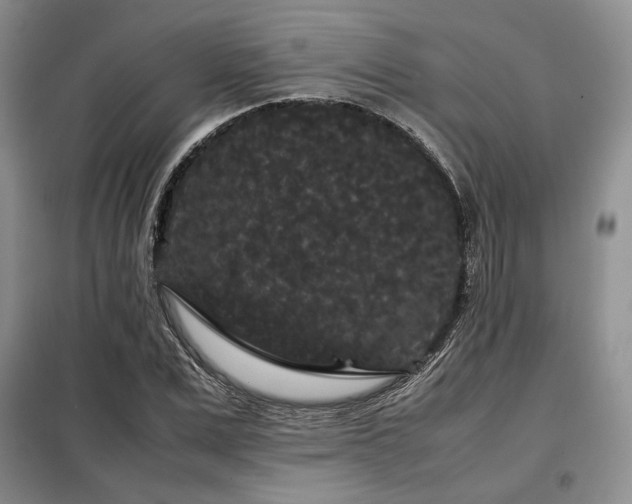 X0000099310975200805021310