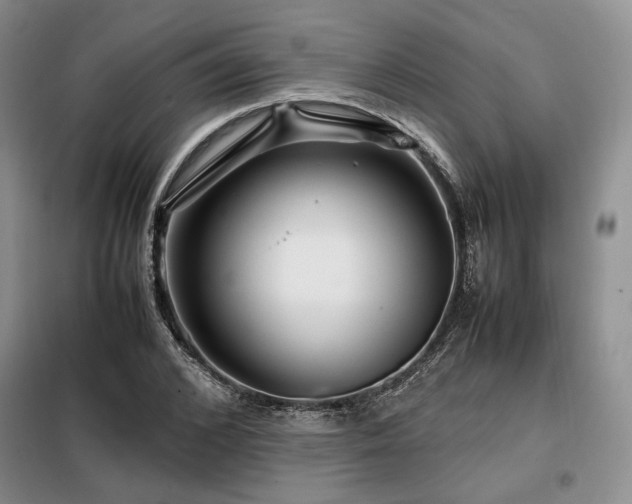 X0000099310976200805021310