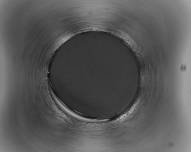 X0000099310977200805021310