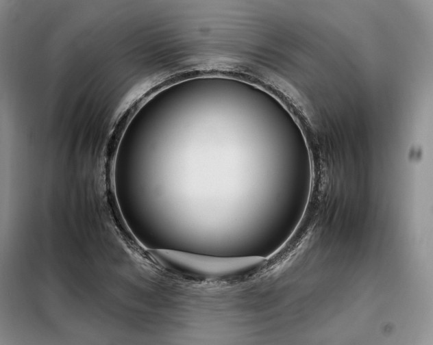 X0000099310978200805021310