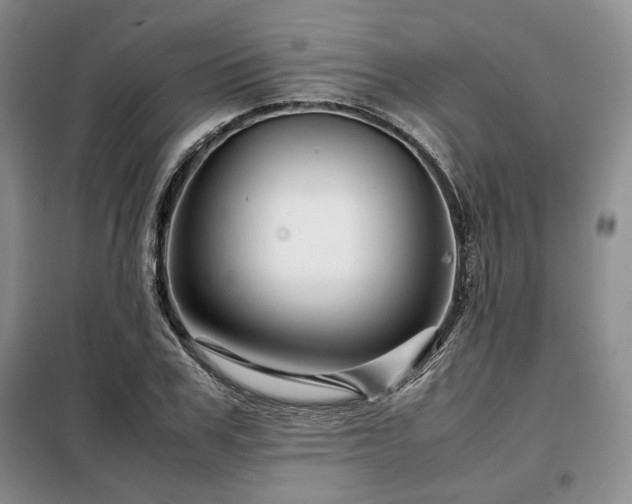 X0000099310979200805021310