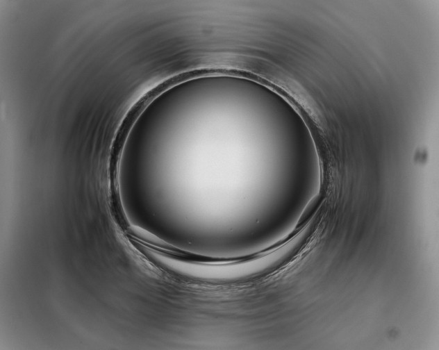 X0000099310980200805021310