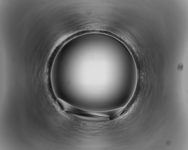 X0000099310981200805021310