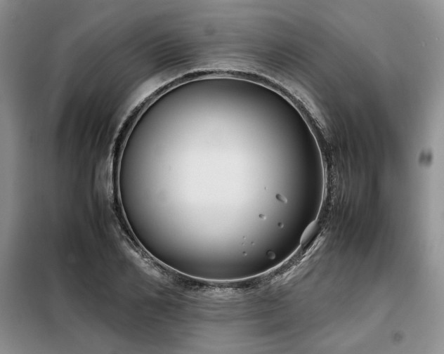 X0000099310982200805021310