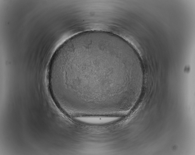 X0000099310983200805021310