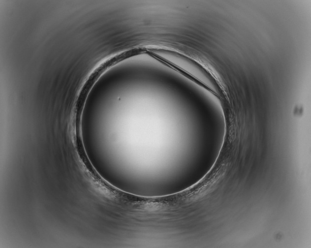 X0000099310984200805021310