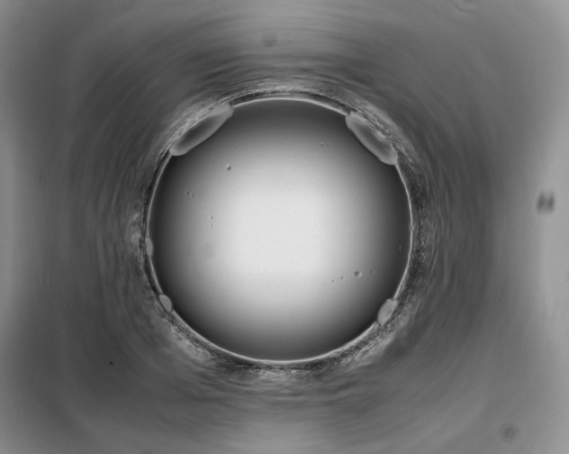 X0000099310985200805021310