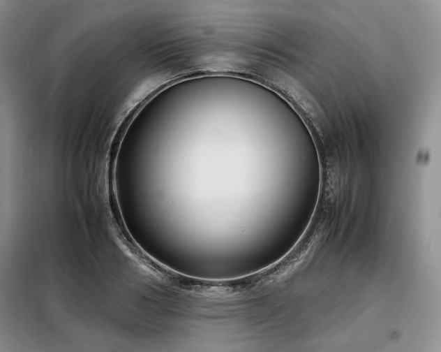 X0000099310986200805021310
