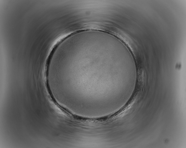 X0000099310987200805021310