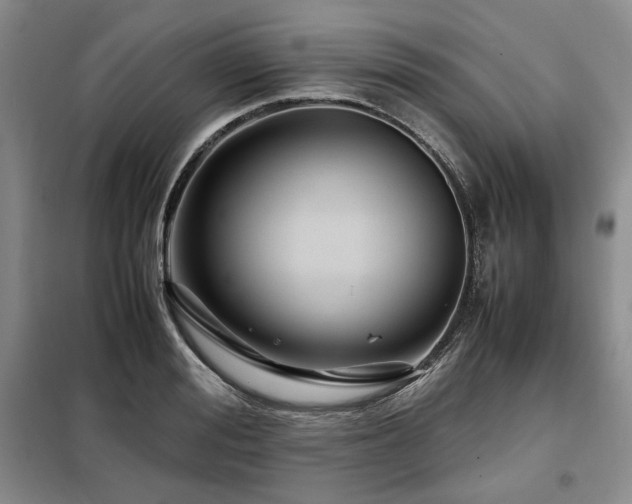 X0000099310988200805021310
