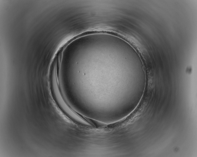 X0000099310990200805021310