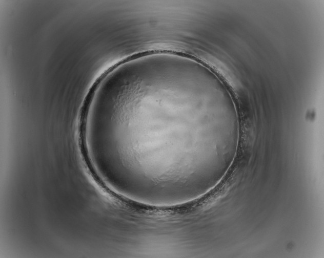 X0000099310991200805021310