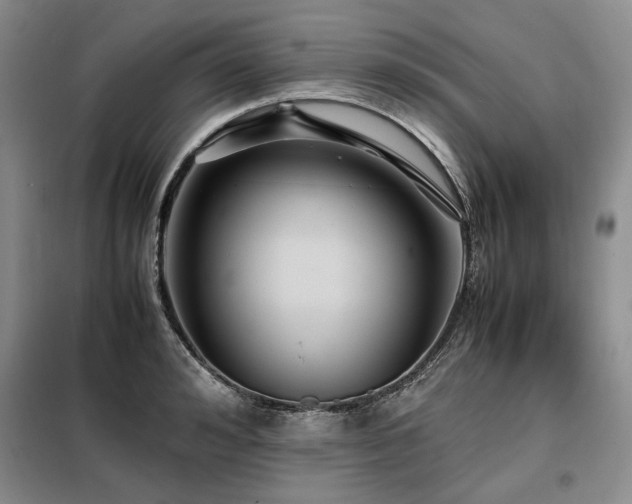 X0000099310992200805021310