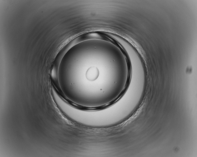 X0000099310993200805021310