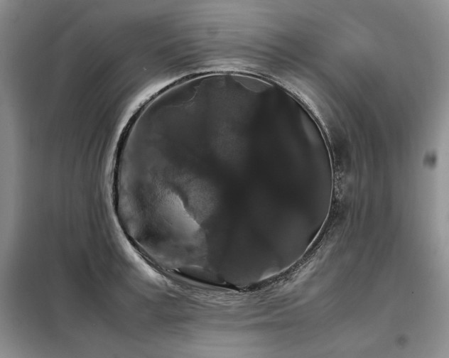 X0000099310995200805021310