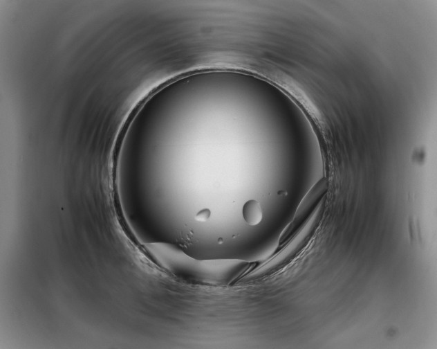 X0000099310996200805021310