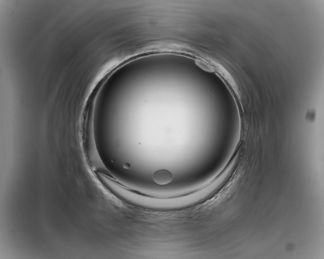 X0000099310997200805021310