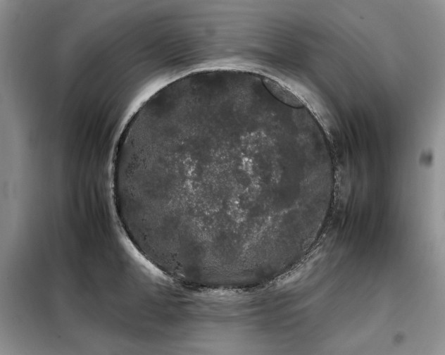 X0000099310998200805021310