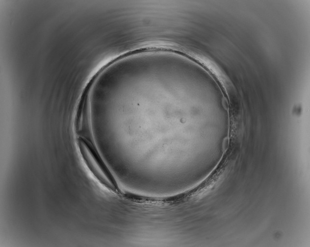X0000099310999200805021310