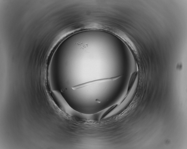 X0000099311000200805021310