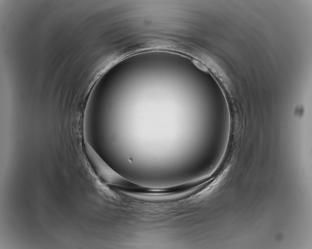 X0000099311001200805021310