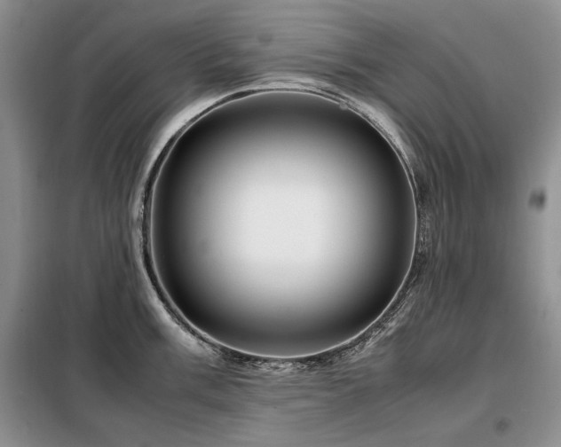 X0000099311003200805021310